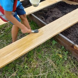 de-verbeelding-mooie-ontwikkelingen-in-de-moestuin-2