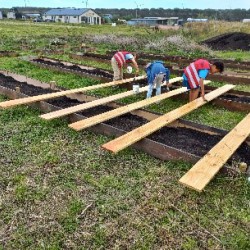 de-verbeelding-mooie-ontwikkelingen-in-de-moestuin-3 de-verbeelding-mooie-ontwikkelingen-in-de-moestuin-3