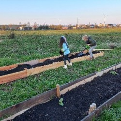 de-verbeelding-mooie-ontwikkelingen-in-de-moestuin-4