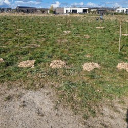 voedselbos maart 2025 -8