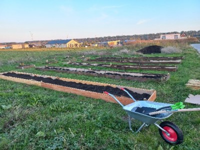 Mooie ontwikkelingen in de moestuin! Mooie ontwikkelingen in de moestuin!